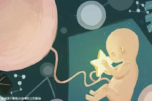 关于代生试管机构